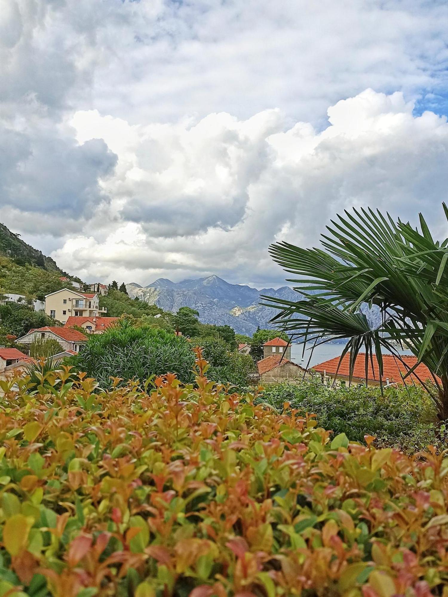 Apartment Kotor Exterior photo